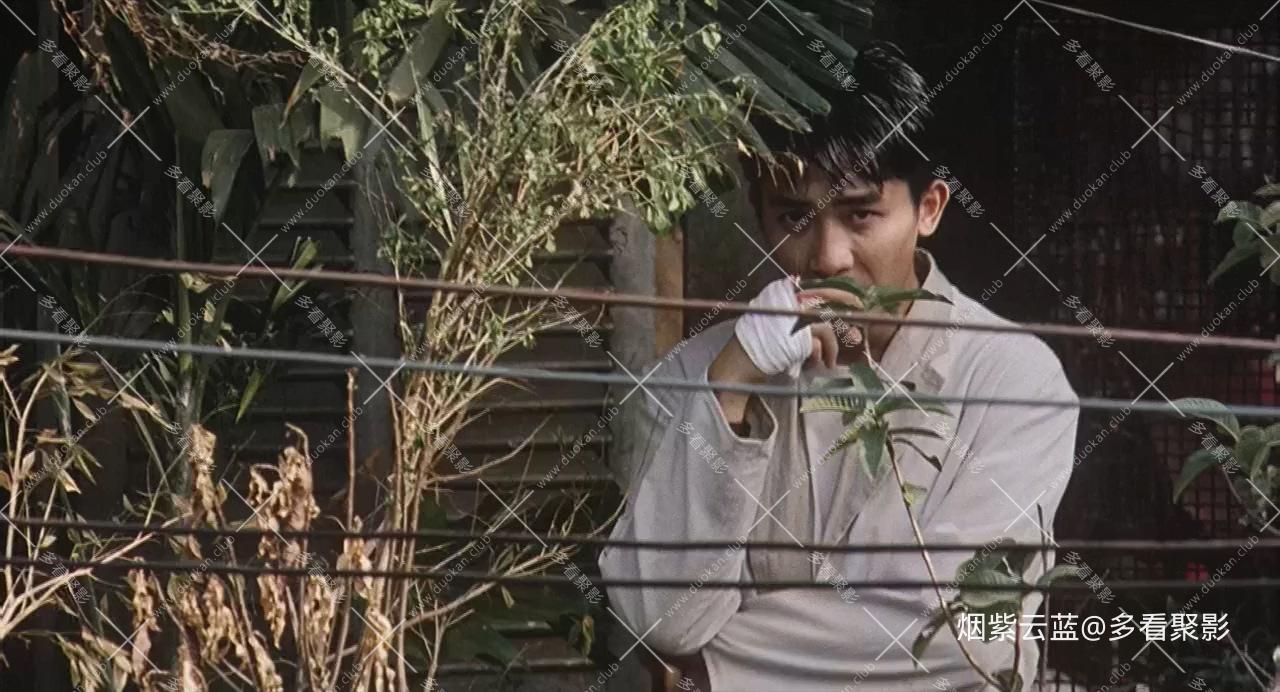 三轮车夫.Cyclo.1995.HD720P.梁朝伟主演.国越双语.中日字幕.mp4_20251002_185229.556.jpg