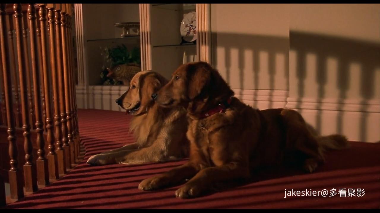 2001.飞狗巴迪3：飞狗家族(83分钟).720P.国英无字.mkv_20250926_233146.147.jpg
