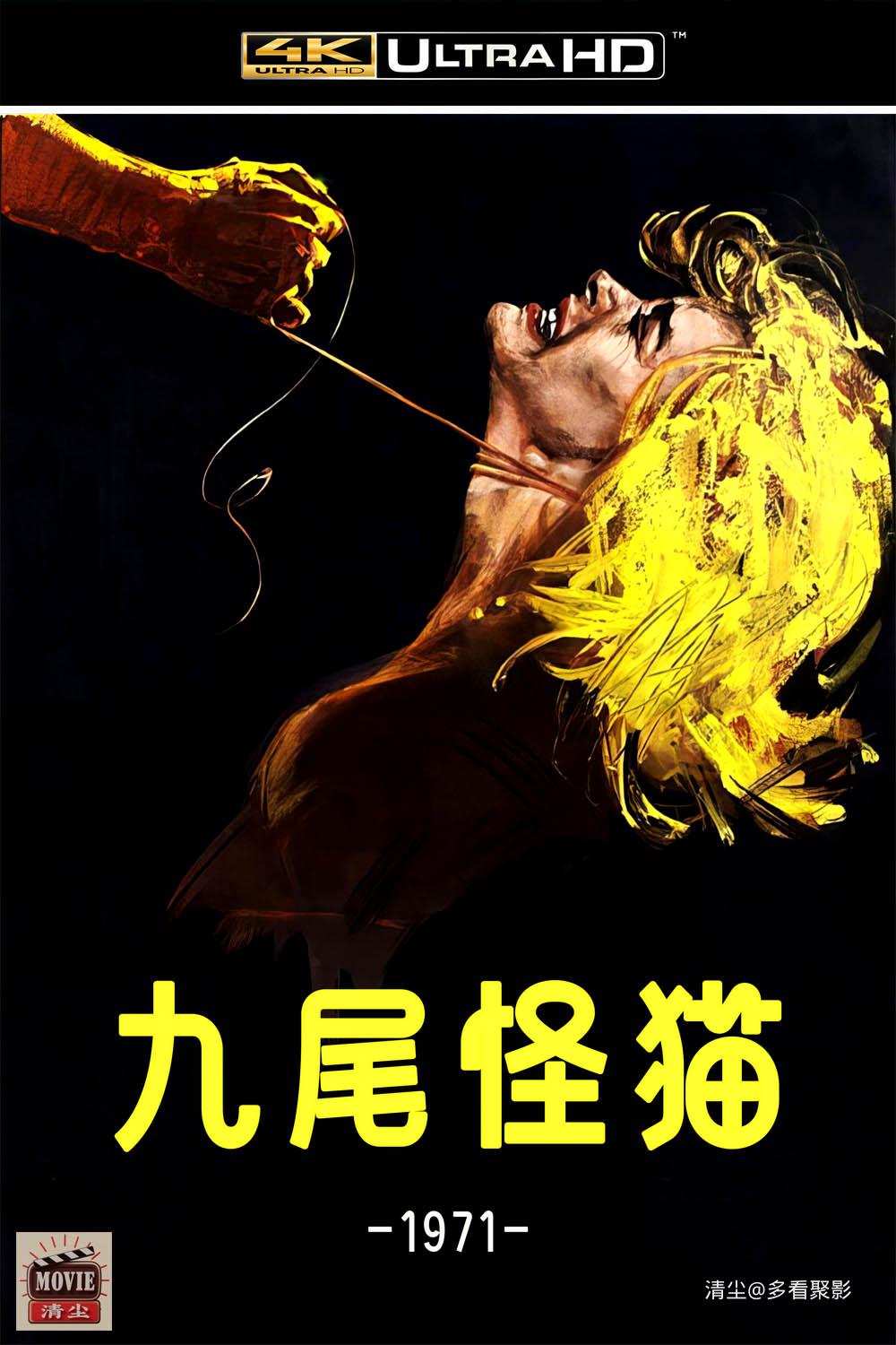 版面图.jpg