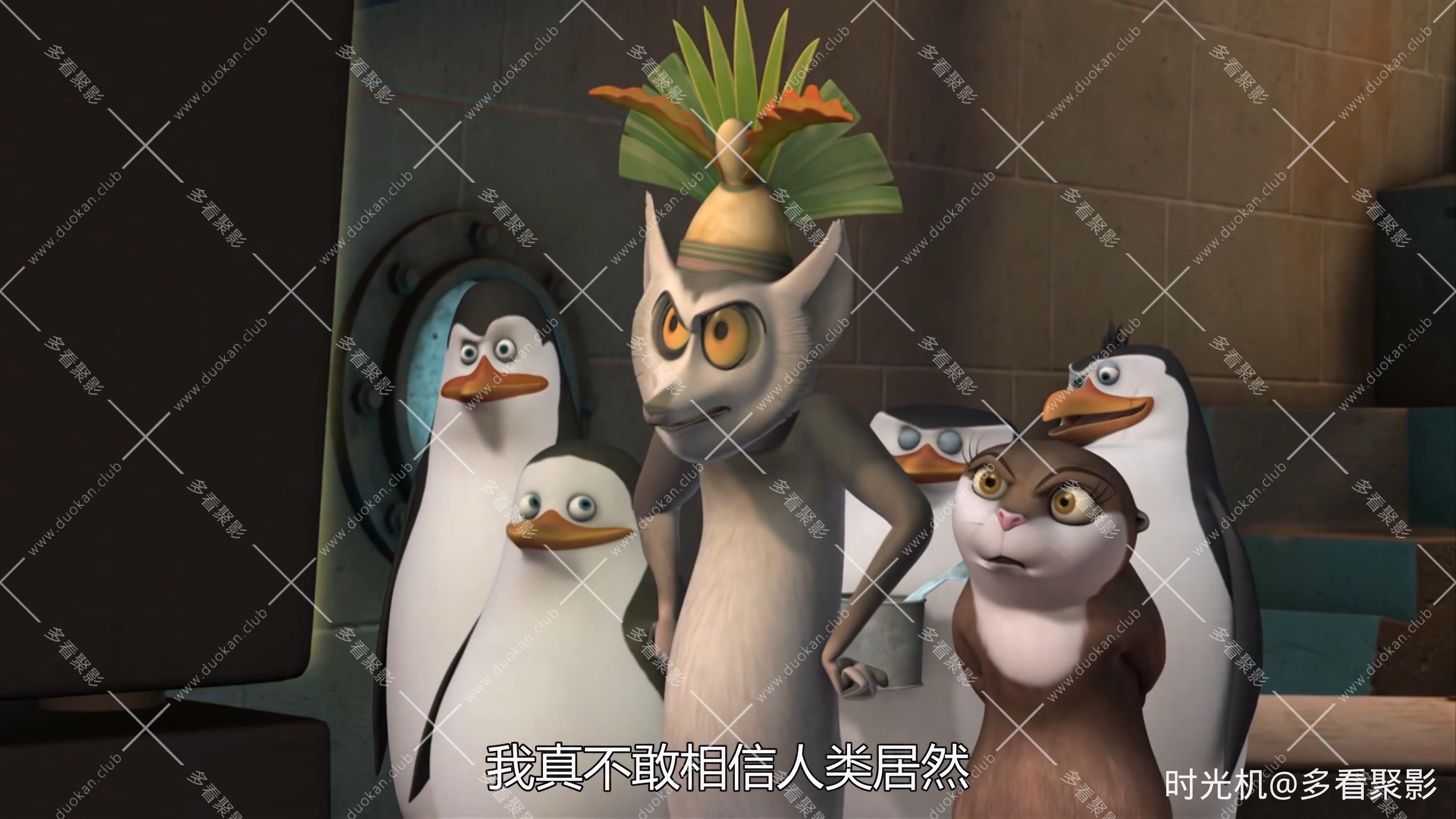 【4K】马达加斯加企鹅第一季_02.mp4_20251012_113806.612.jpg