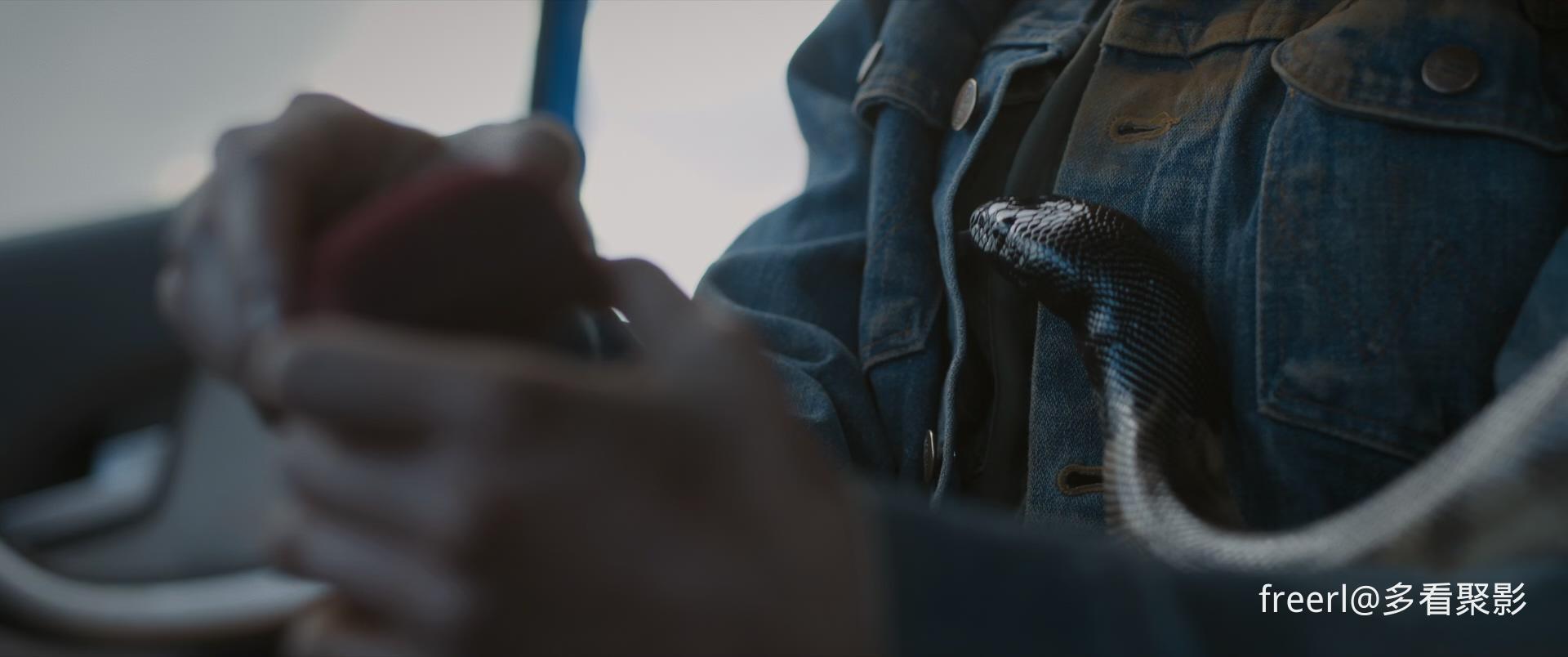 荒野求生.Outback.2019.1080p.BluRay.x265.流媒体国英双语中字.mkv_20251023_112149.229.jpg