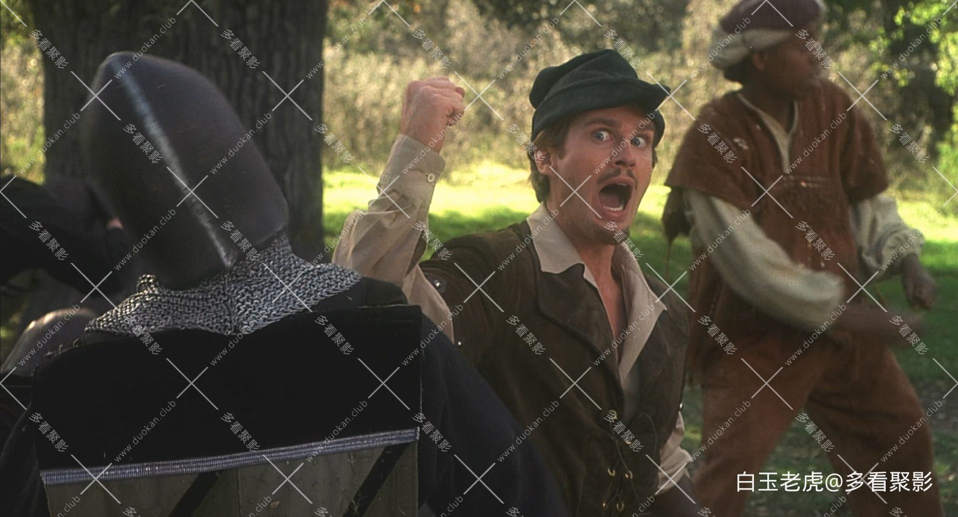 Robin.Hood.Men.in.Tights.1993.BluRay.1080p.DTS-HD.MA.5.1.x265.10bit-DreamHD.mkv_.jpg