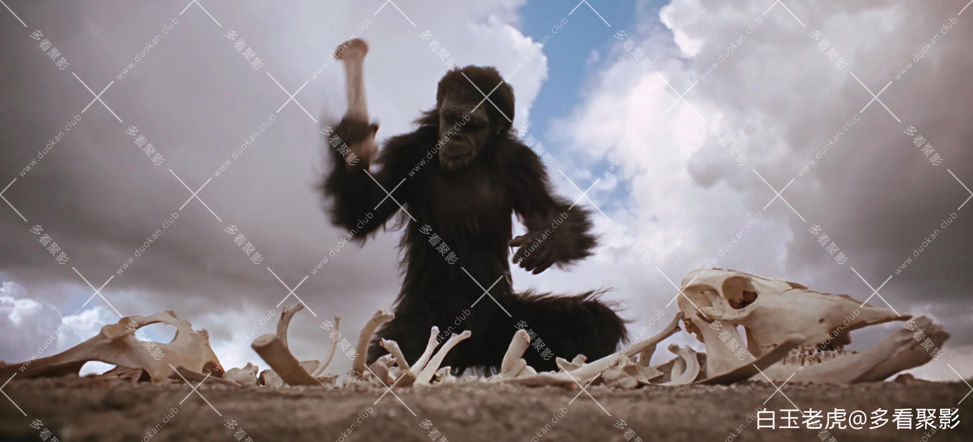 2001漫游太空.2001.A.Space.Odyssey.1968.2160p.10bit.HDR.BluRay.6CH.x265.HEVC-PSA-.webp