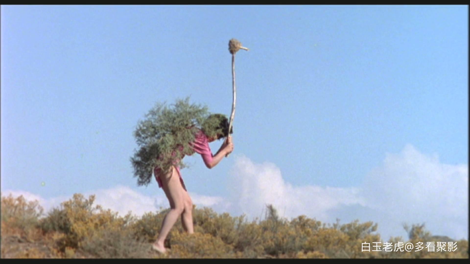 上帝也疯狂2.The.Gods.Must.Be.Crazy.II.1989.1080p.DSNP.WEB-DL.H264.AAC.2Audio-TAG.jpg