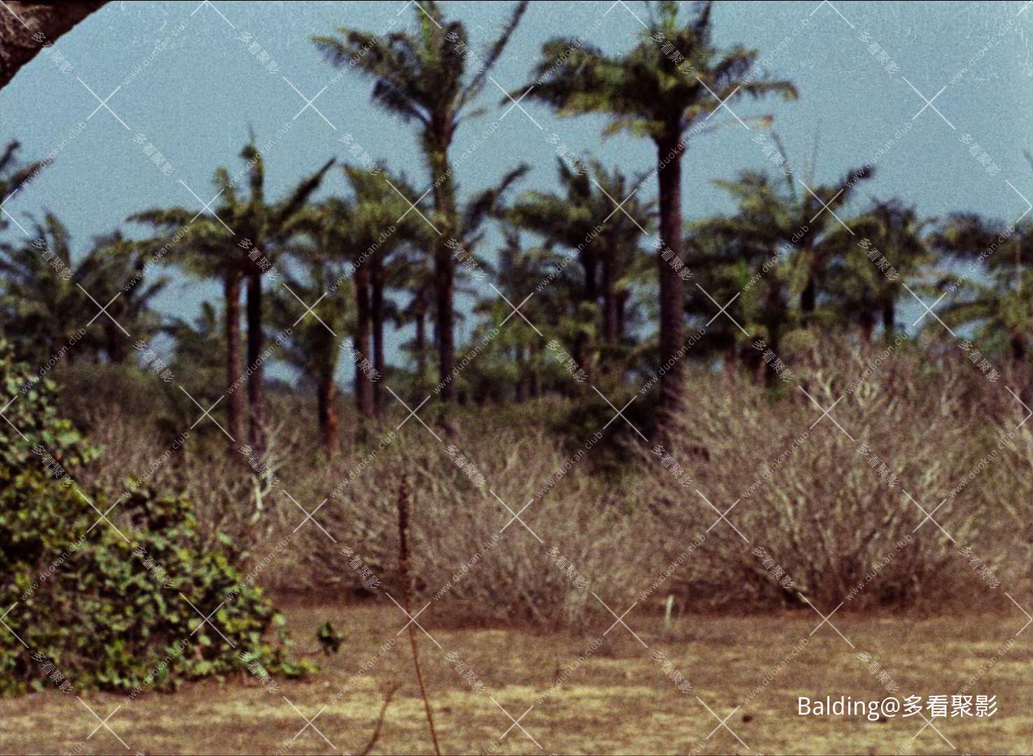 mpv-shot0001.jpg
