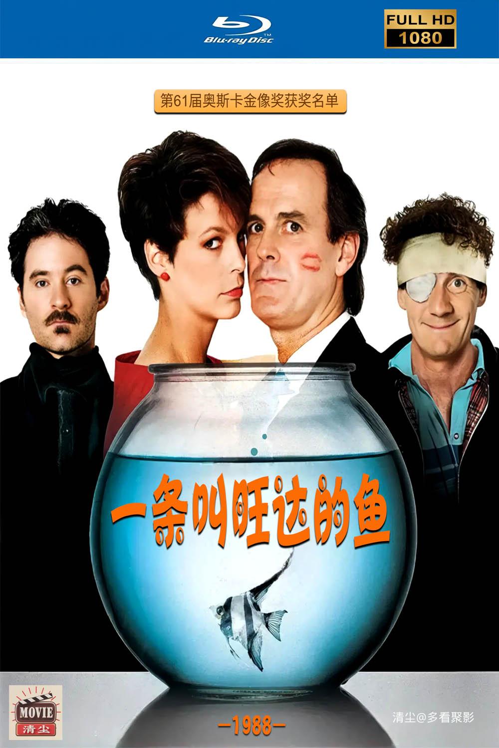 版面图.jpg
