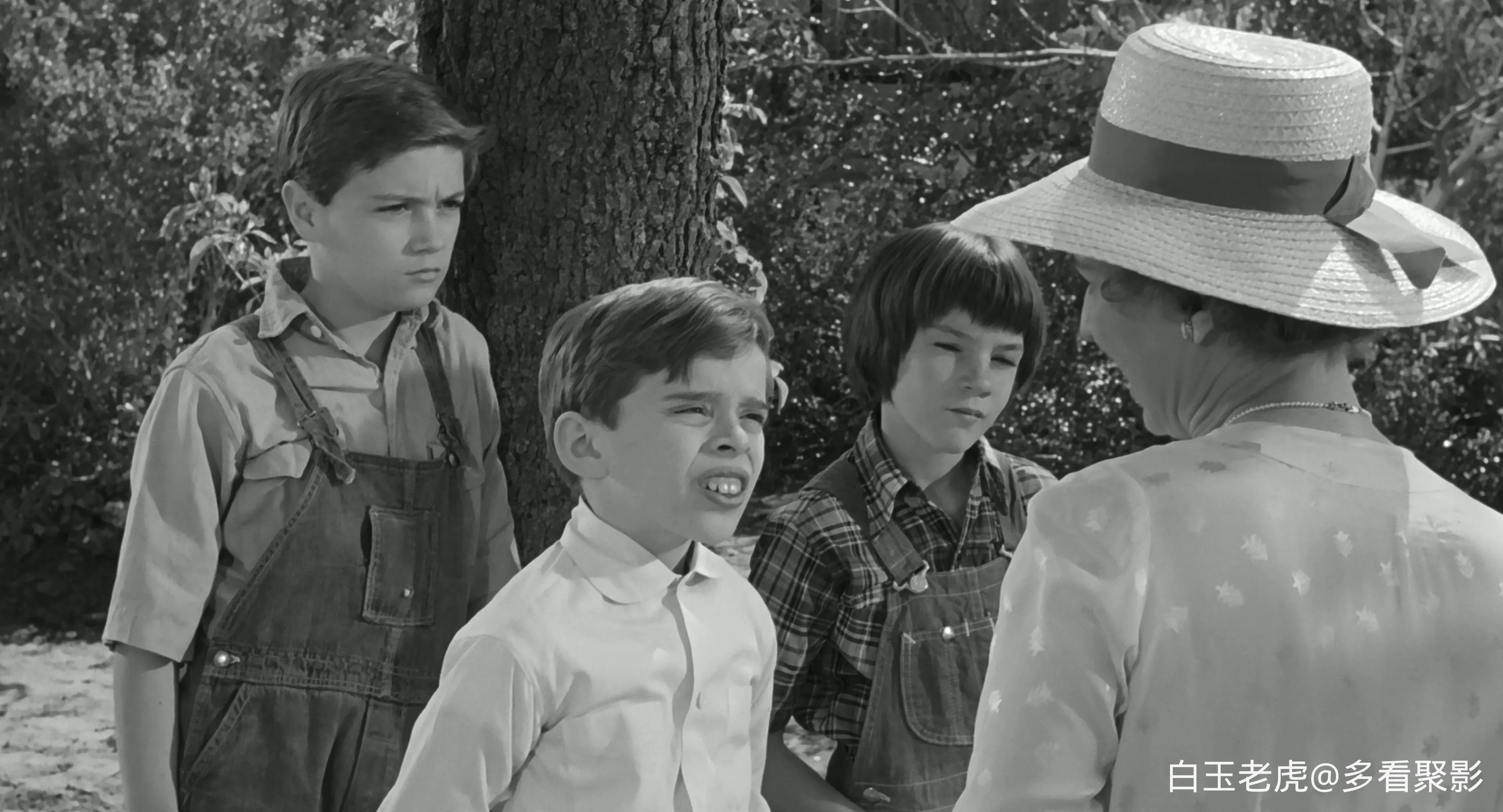 杀死一只知更鸟.To.Kill.a.Mockingbird.1962.2160p.UHD.BluRay.x265.10bit.HDR.DTS-HD.webp