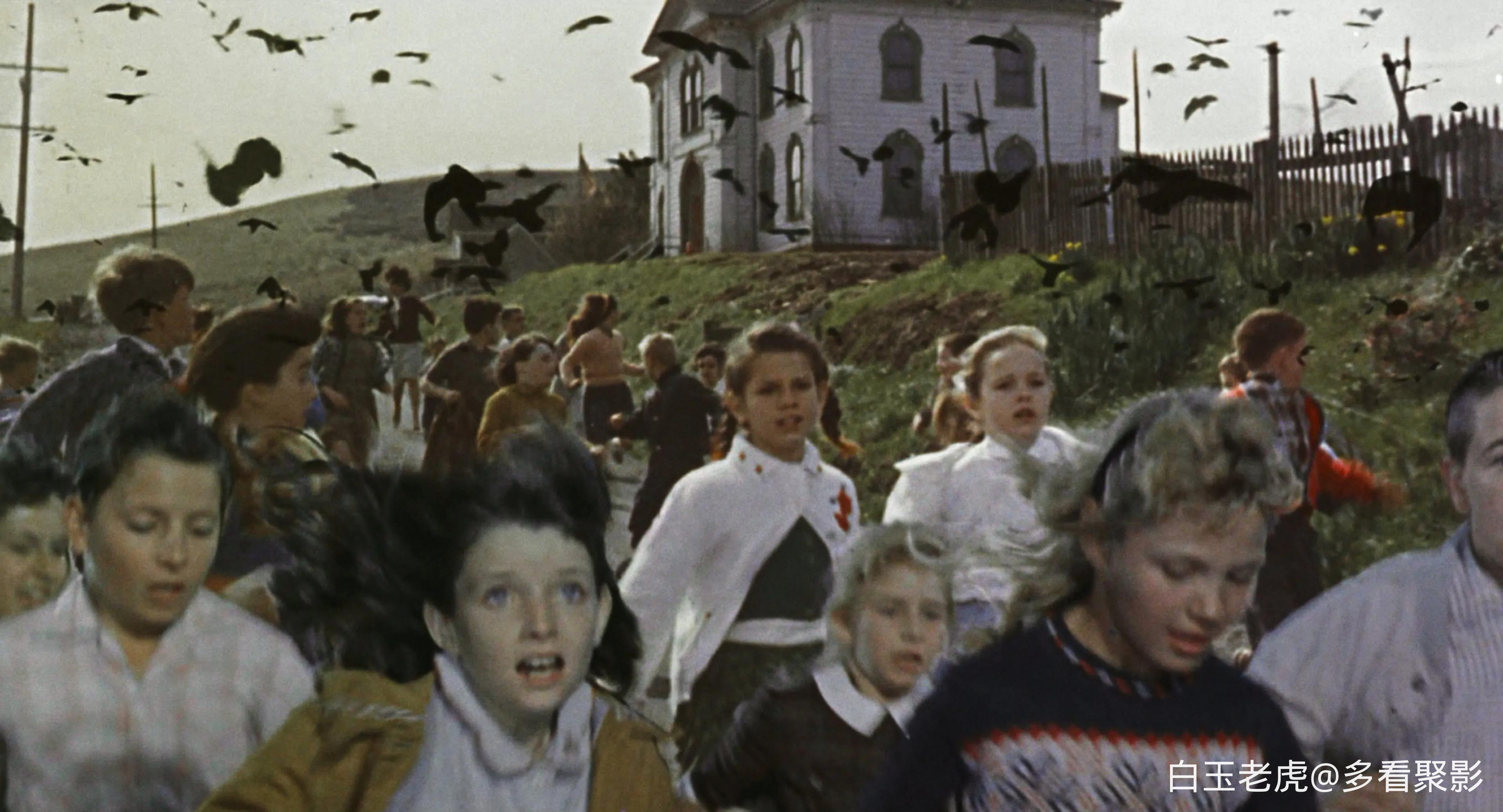 The.Birds.1963.2160p.UHD.BluRay.x265.10bit.HDR.DTS-HD.MA.2.0.2Audio-QuickIO-bylh.webp