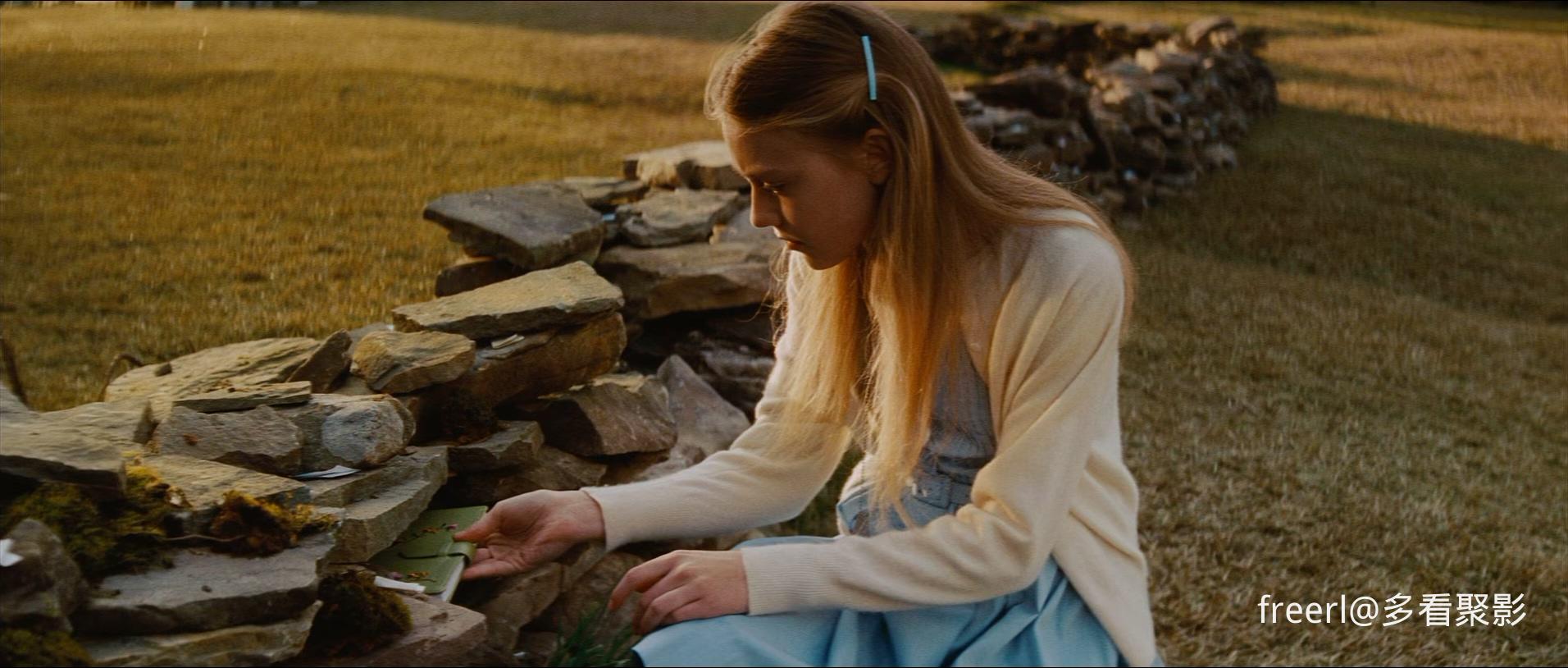 蜜蜂的秘密生活.The.Secret.Life.of.Bees.2008.1080p.BluRay.x265.国英双语中字.mkv_2.jpg