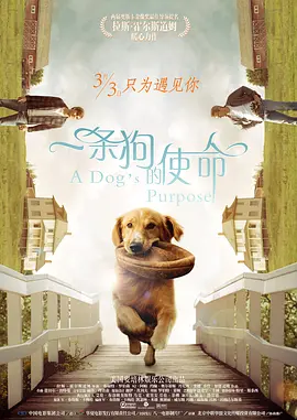 144515nbcppp3u6fc5cesn.jpg