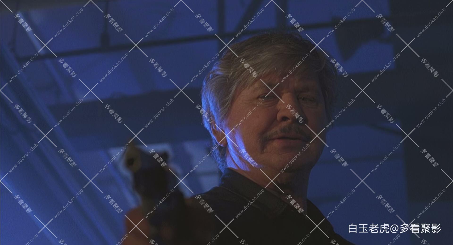Death.Wish.V.The.Face.Of.Death.1994.1080p.BluRay.x265-RARBG.mp4_20251201_224400.451.jpg