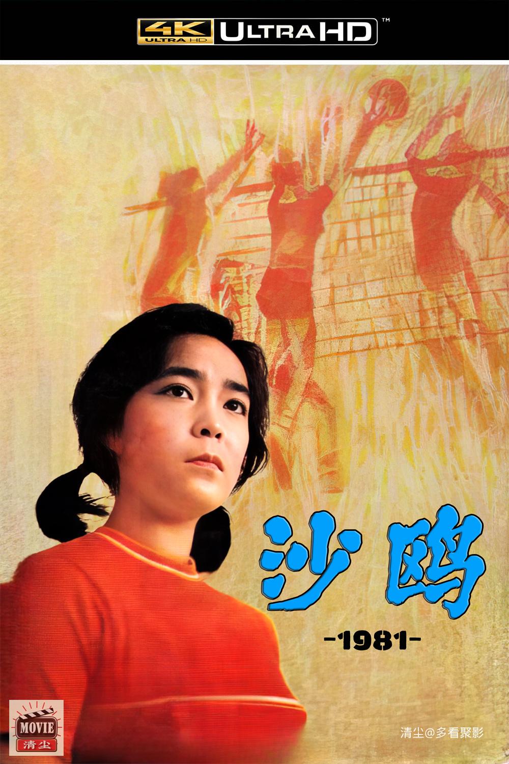 版面图.jpg