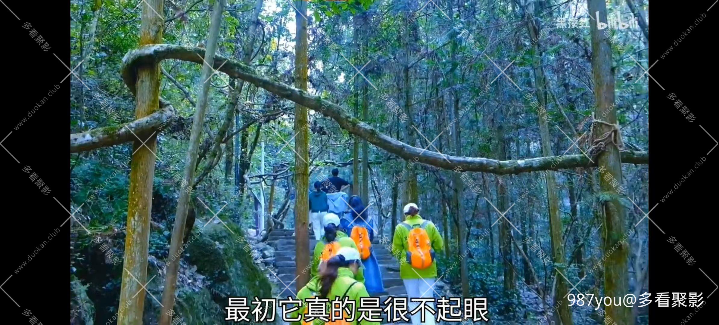 微信图片_20251218101949.jpg