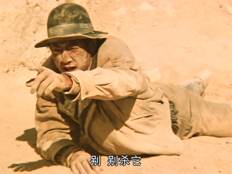1987[01_08_48][20251221-145834].png