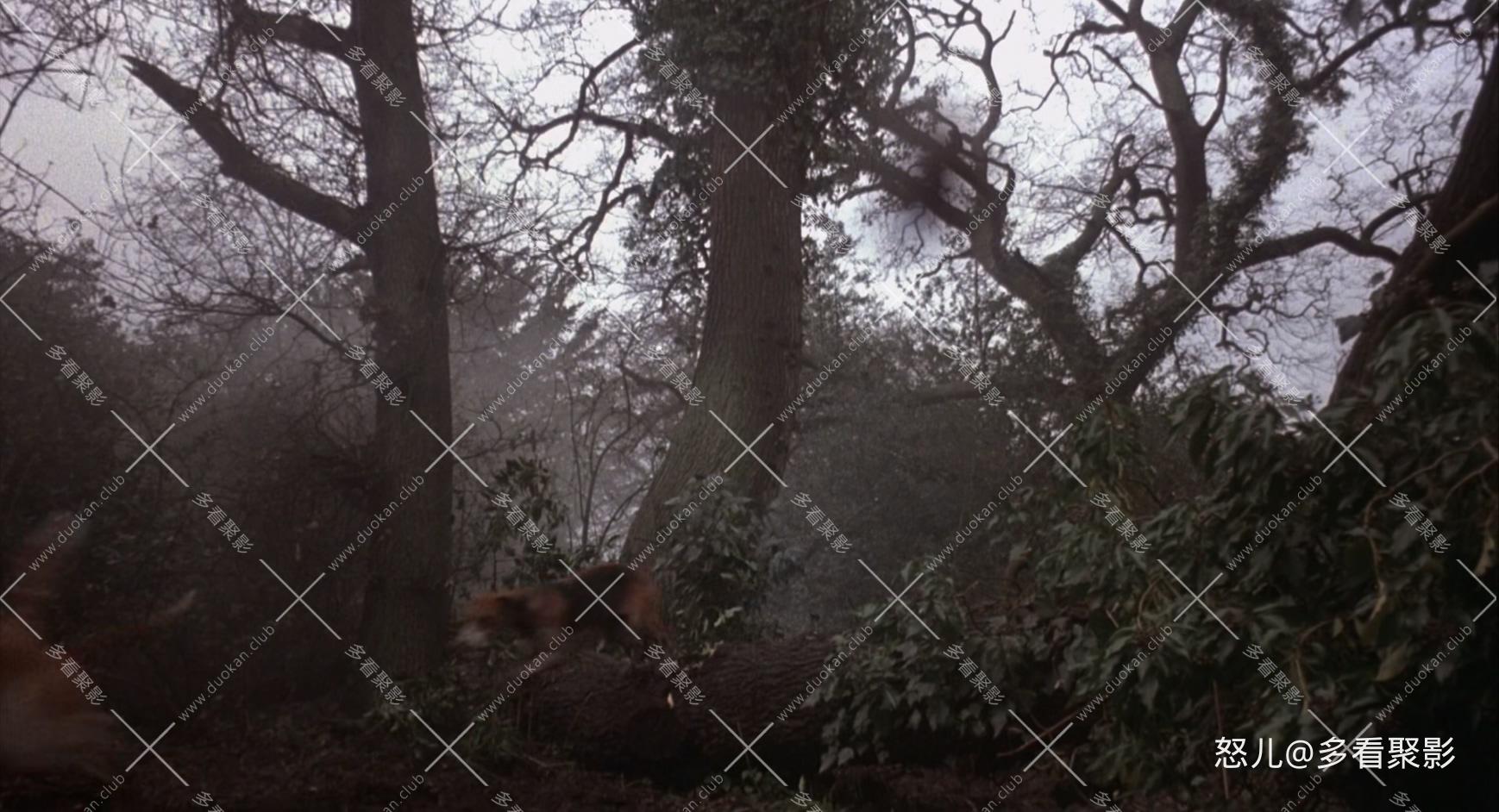 查泰莱夫人的情人.Lady.Chatterleys.Lover.1981.1080p.BluRay.x265.2audio-RARBG.mkv_.jpg