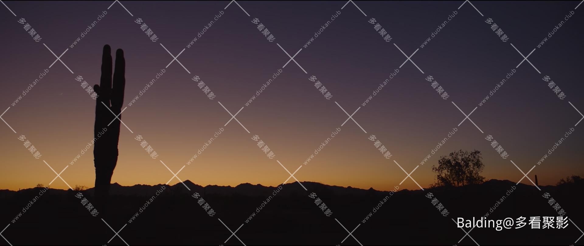 mpv-shot0003.jpg
