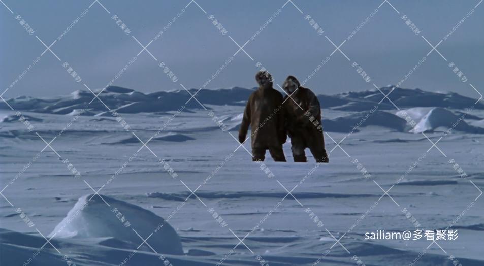31.png