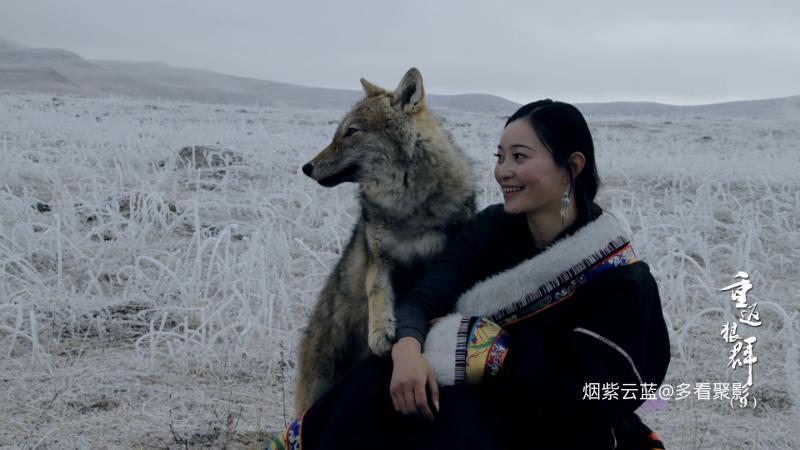 Return.to.the.Wolves.10th.Anniversary.Special.S01E09.2021.2160p.HQ.WEB-DL.H265.1.png