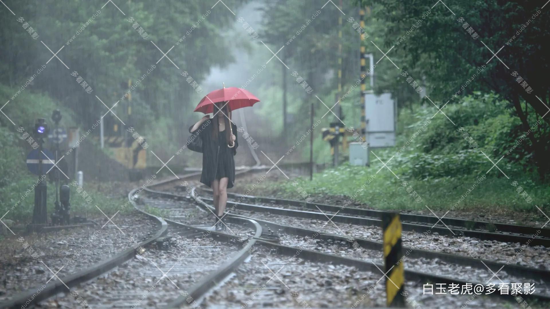 My.Rainy.Days.2009.BluRay.1080p.x265.10bit.2Audios-MiniHD.mkv_20260130_205514.486.webp