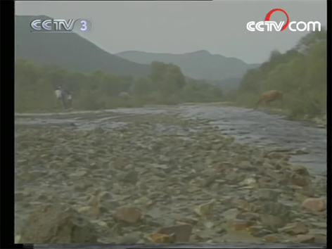 篱笆女人和狗07BUS480P[00_33_03][20260131-140425].png