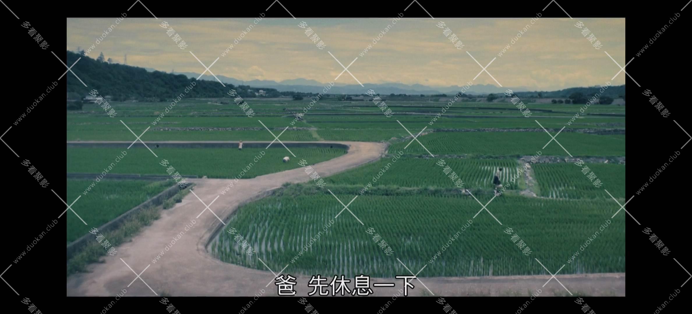 微信图片_20260213140518_1958_25.jpg