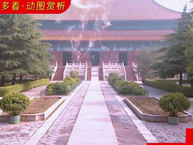 动 (5).gif
