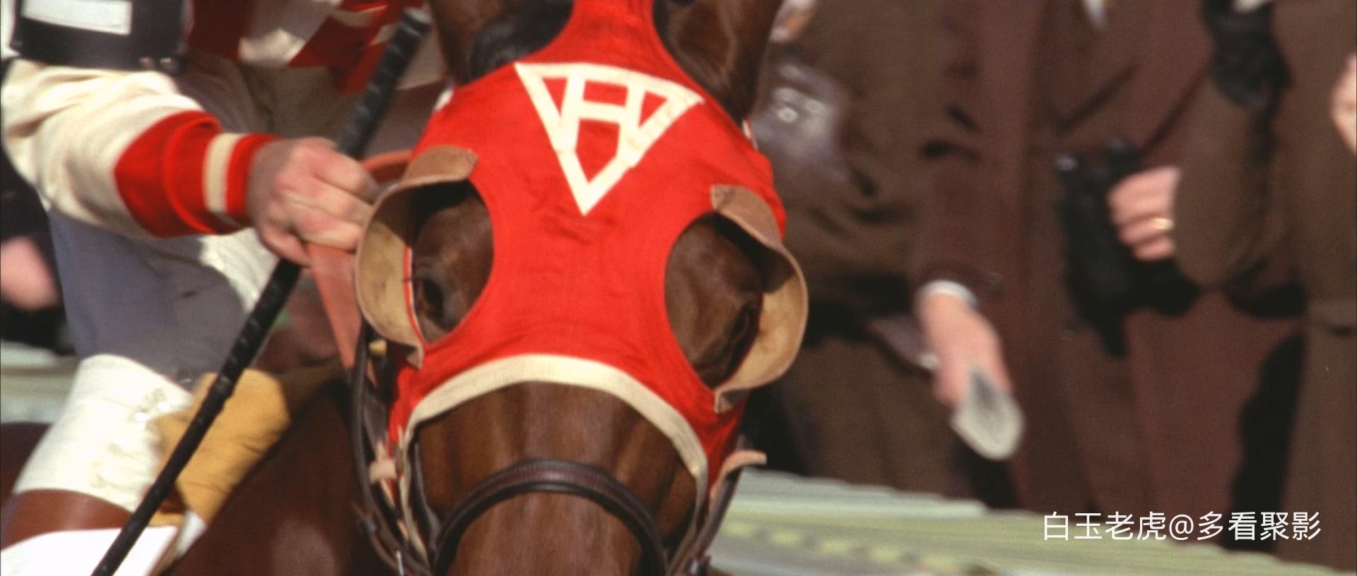 Seabiscuit.2003.BluRay.1080p.x265.10bit.2Audio-MiniHD.mkv_20260227_014200.918.jpg