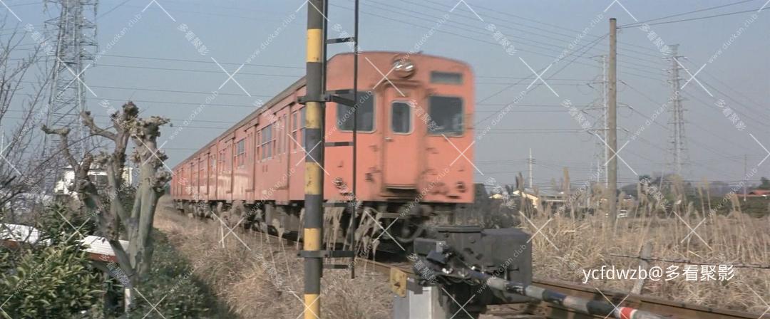 p2893403871.jpg
