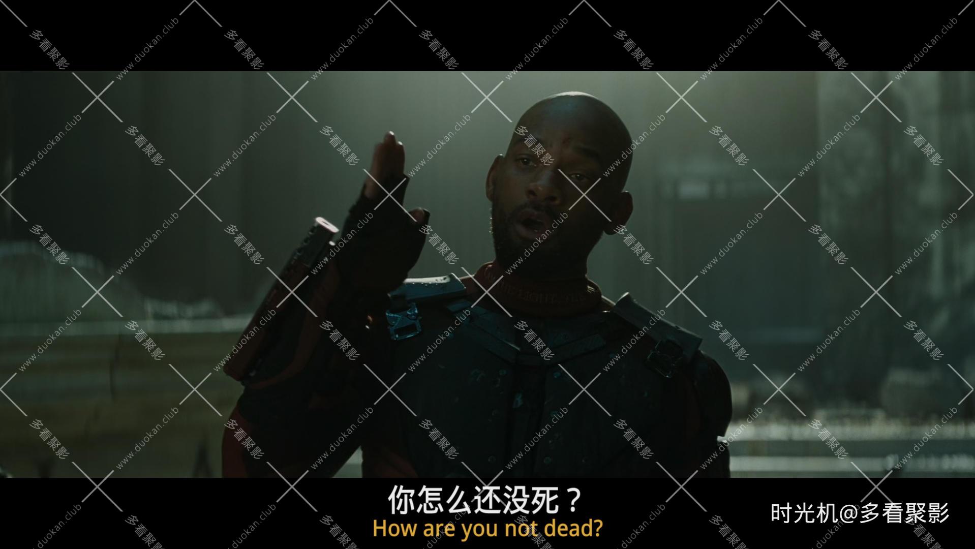 书仙17.mpg_20260326_223209.958.jpg