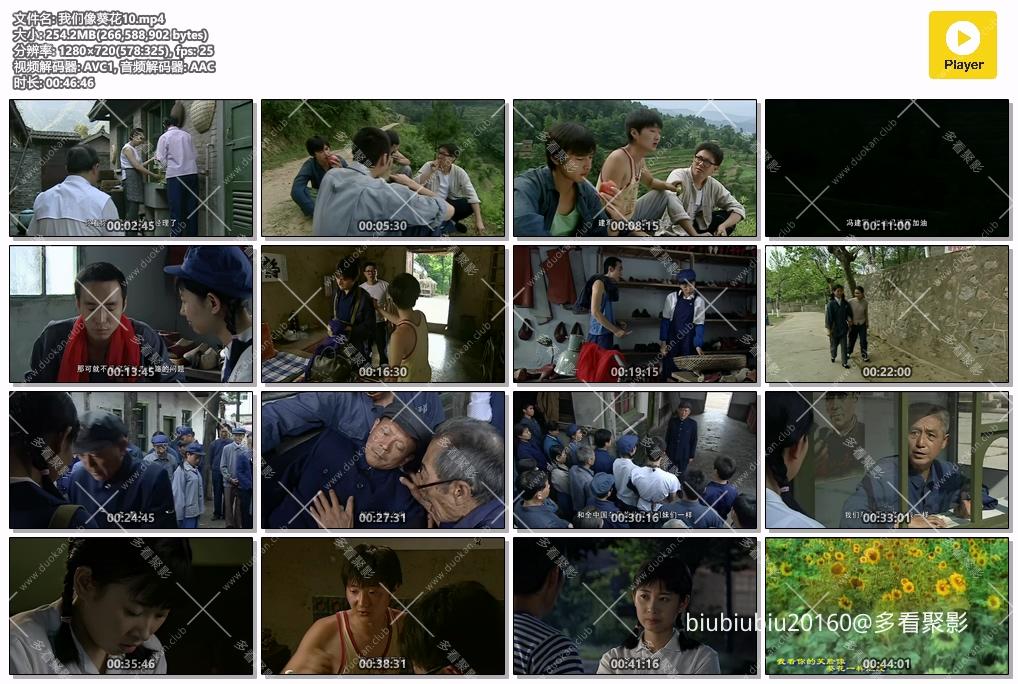 我们像葵花10.mp4.jpg