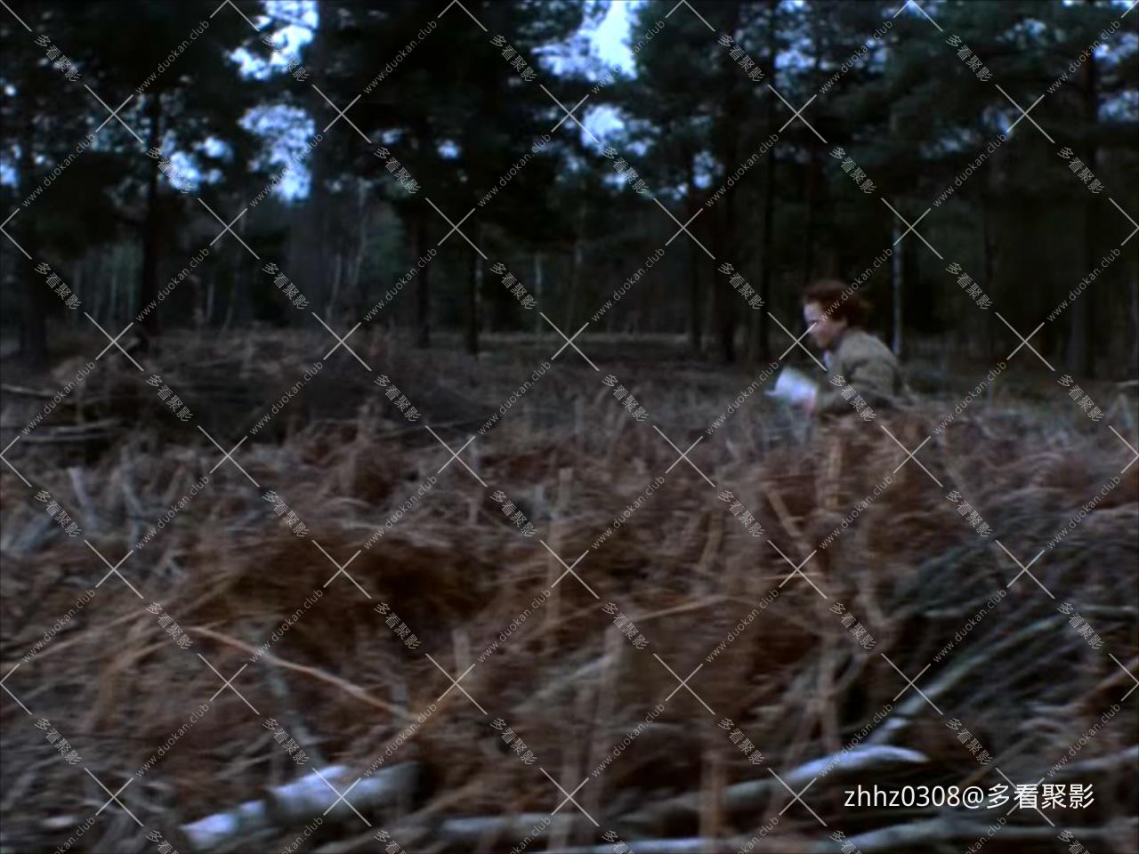 奥涅金.Онегин.1999.DVDrip.H265.10bit.AC3.DALAUDIO.mkv_20260401_110222627.jpg