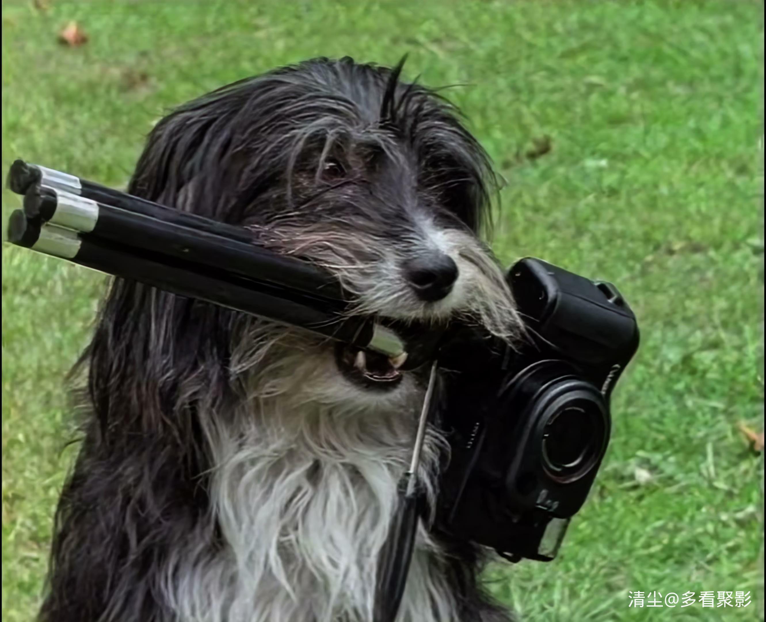 14.mp4_20260402_101830.727.jpg
