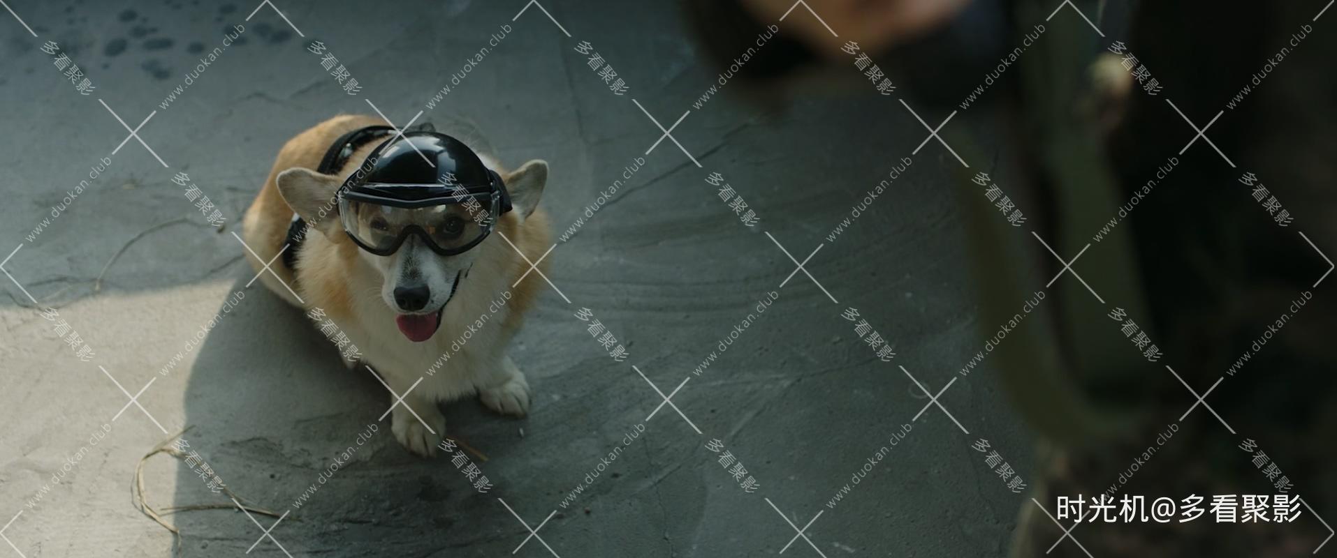 6.45.2022.KOREAN.1080p.WEBRip.x265-VXT.mp4_20260404_140907.668.jpg