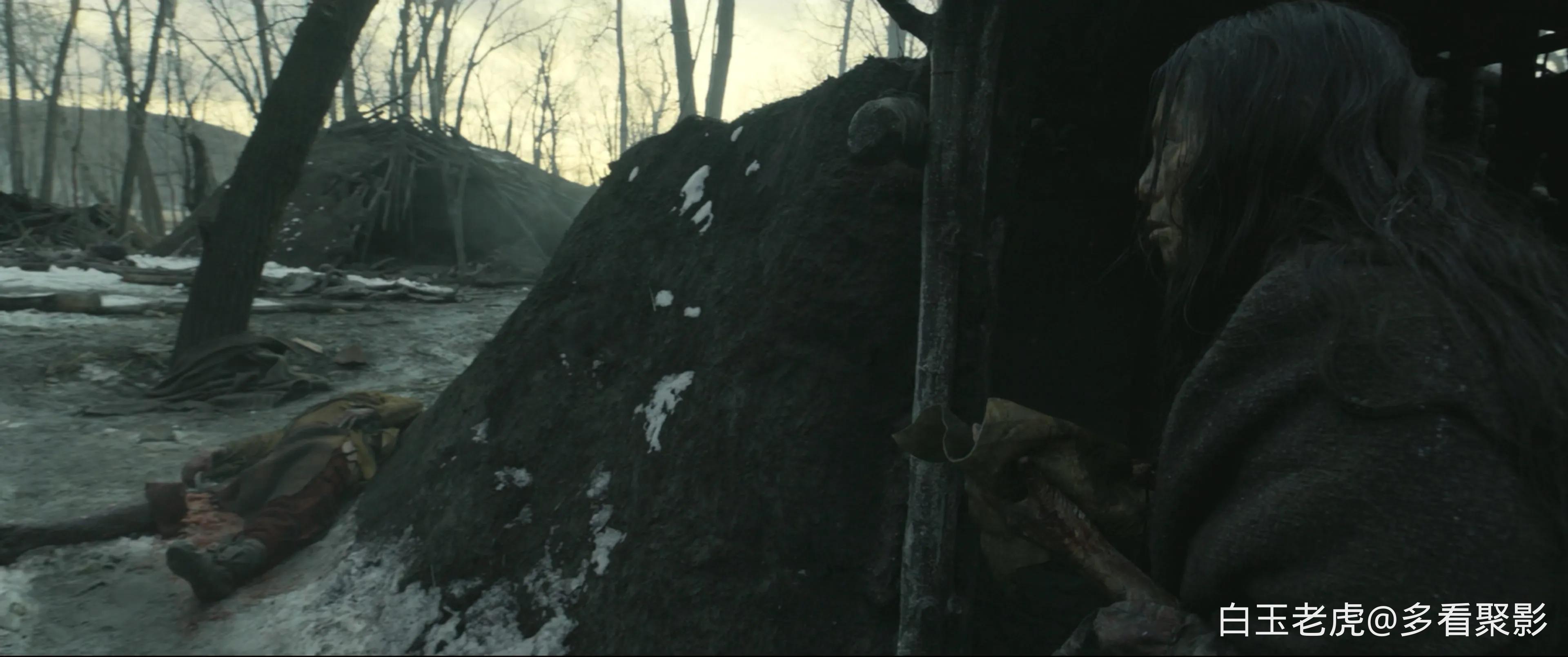 The.Revenant.2015.2160p.UHD.BluRay.X265-IAMABLE (1).mkv_20260503_122618.675.webp