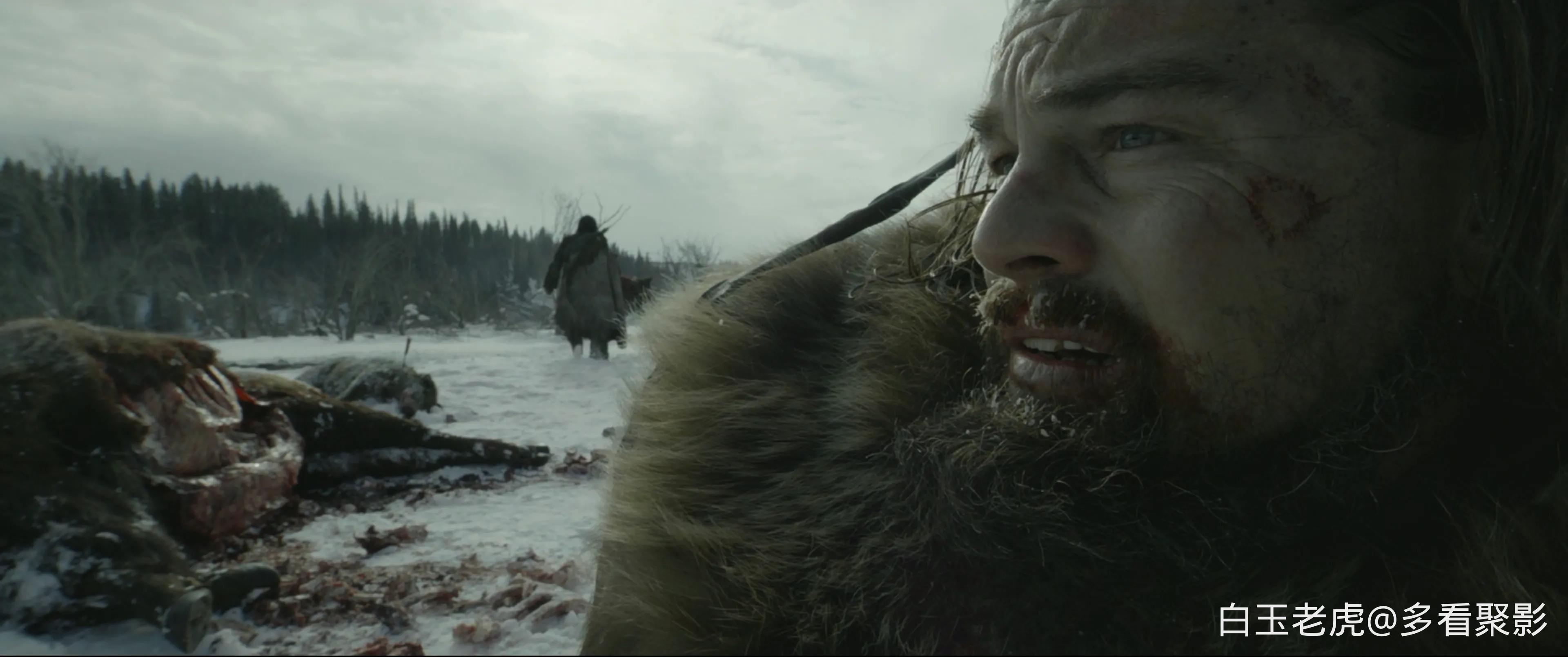 The.Revenant.2015.2160p.UHD.BluRay.X265-IAMABLE (1).mkv_20260503_122641.131.webp