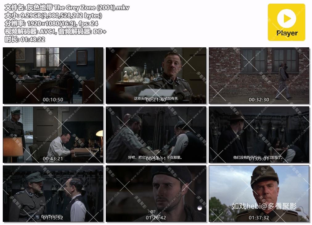 灰色地带 The Grey Zone (2001).mkv.jpg