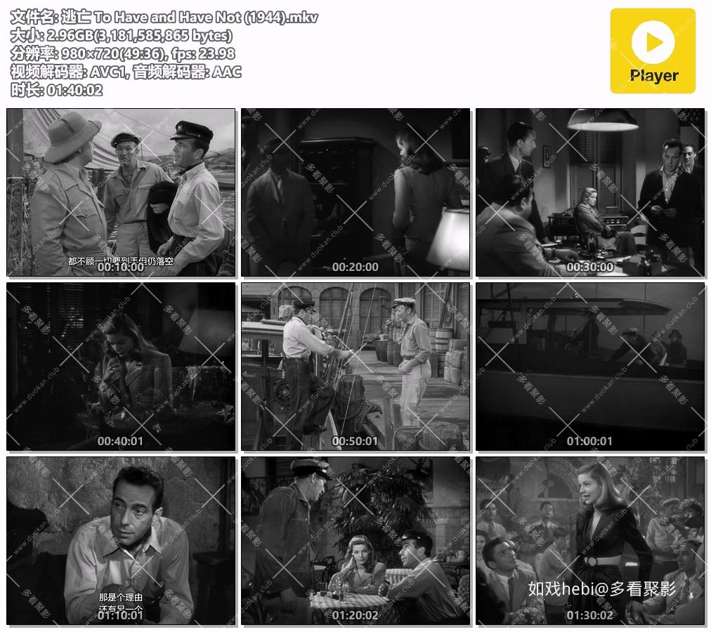 逃亡 To Have and Have Not (1944).mkv.jpg