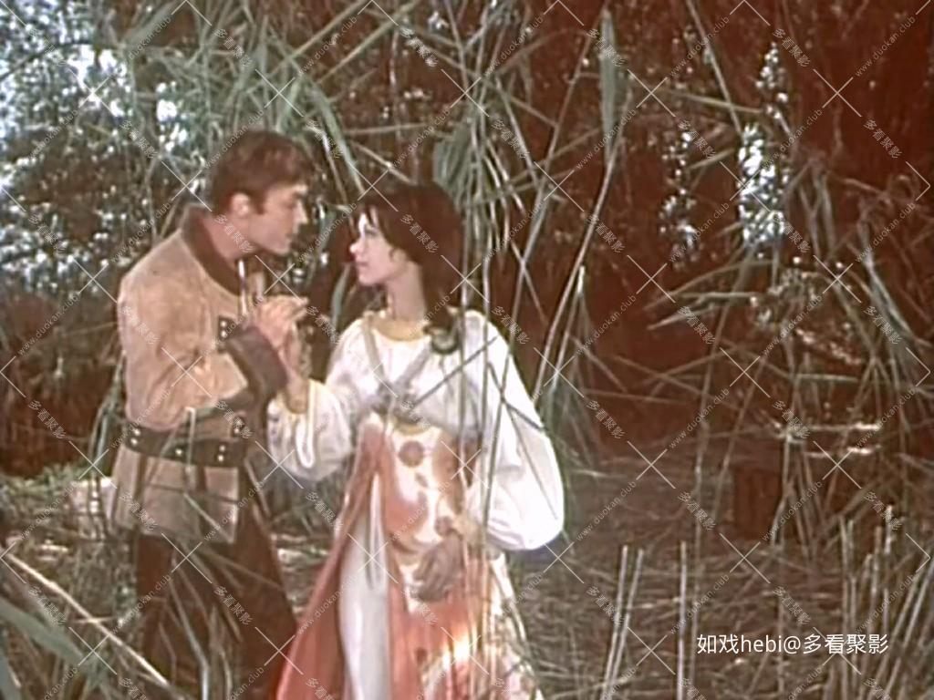 决斗场上的遗嘱 A koppányi aga testamentuma (1967).mkv_20260504_132053.699.jpg