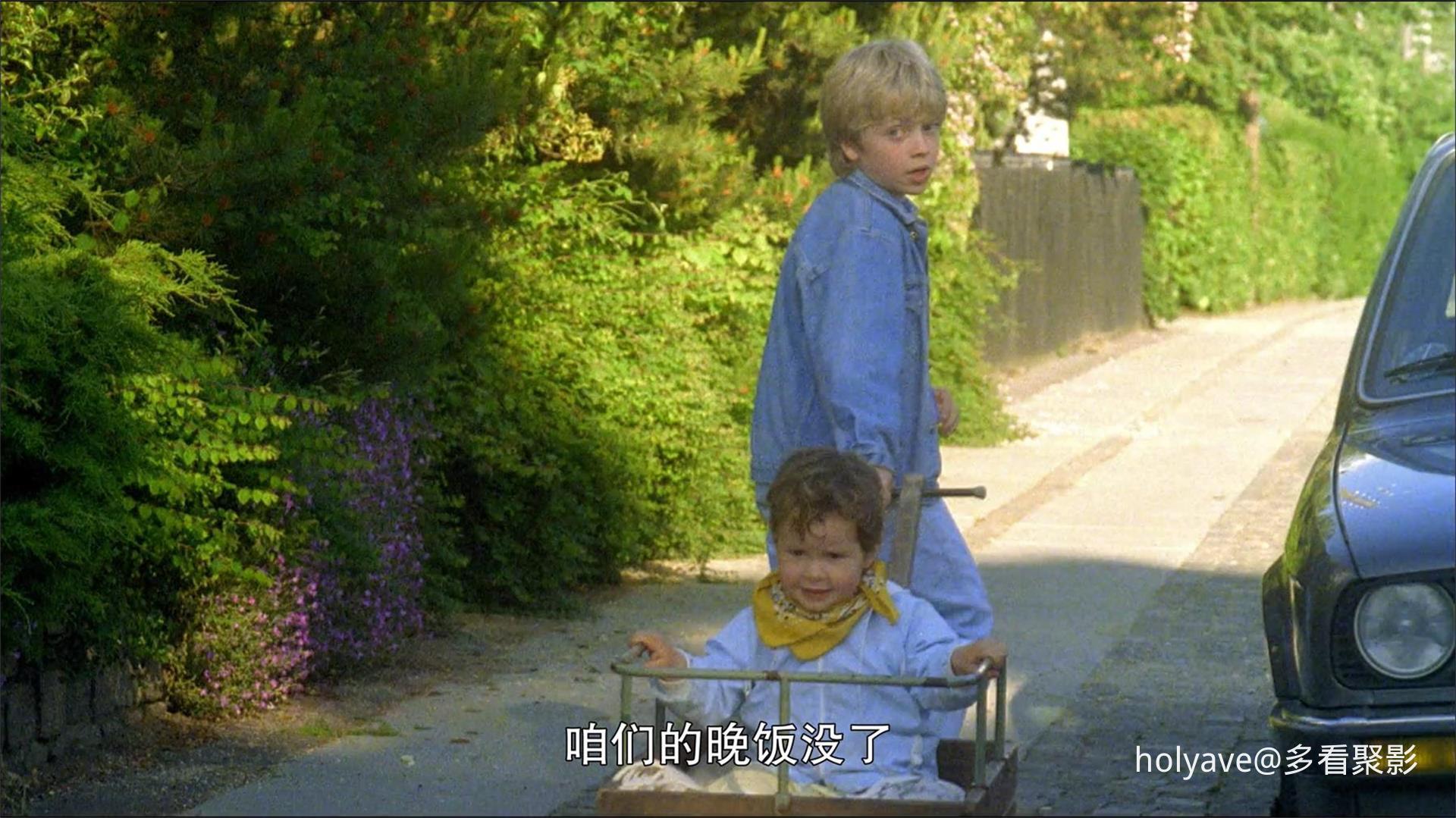 16.jpg