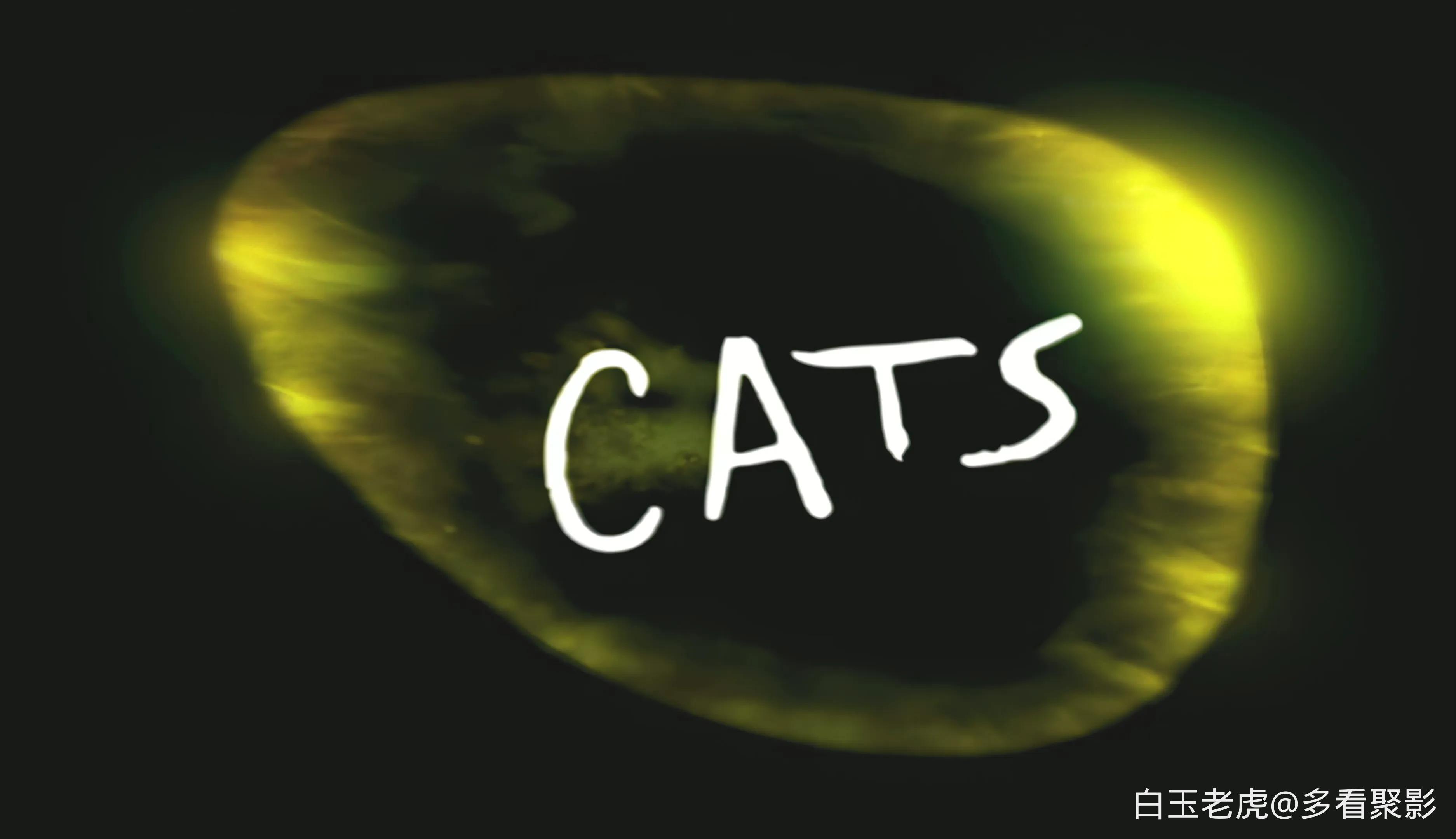 猫.Cats.1998.Ultimate.Edition.BluRay.2160p.AI.Upscale .mkv_20260502_100135.092.webp