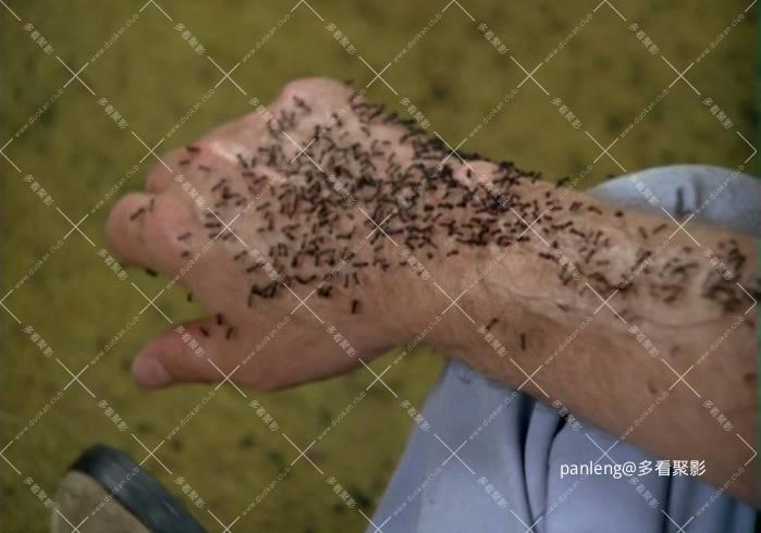 8b5710d0353640ccbbcdf1e40a1cc0d7topic.jpg