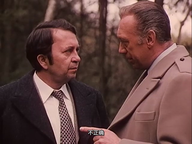 S01 E01： Waldweg.mp4_20260518_161434.396.jpg