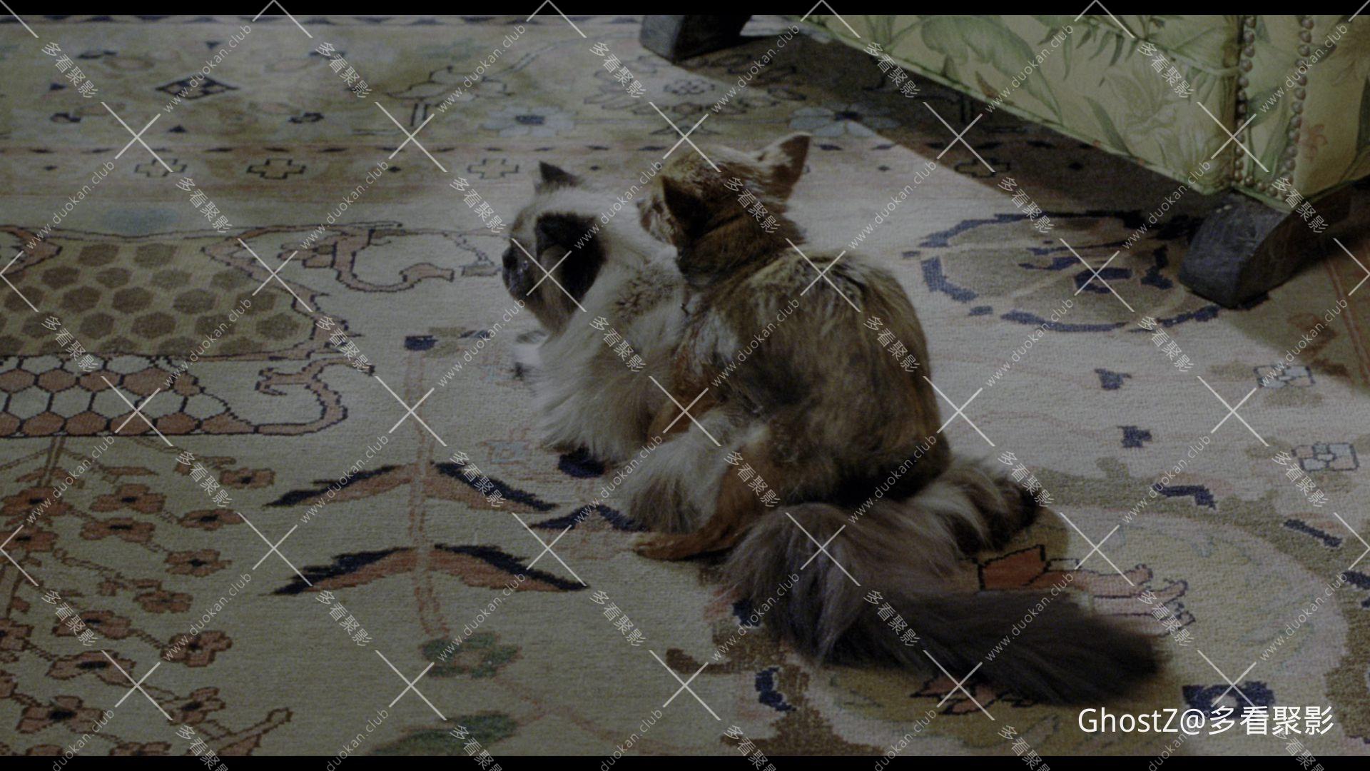 拜见岳父大人2 (2004) [tmdb=693].mkv_010740.723.png