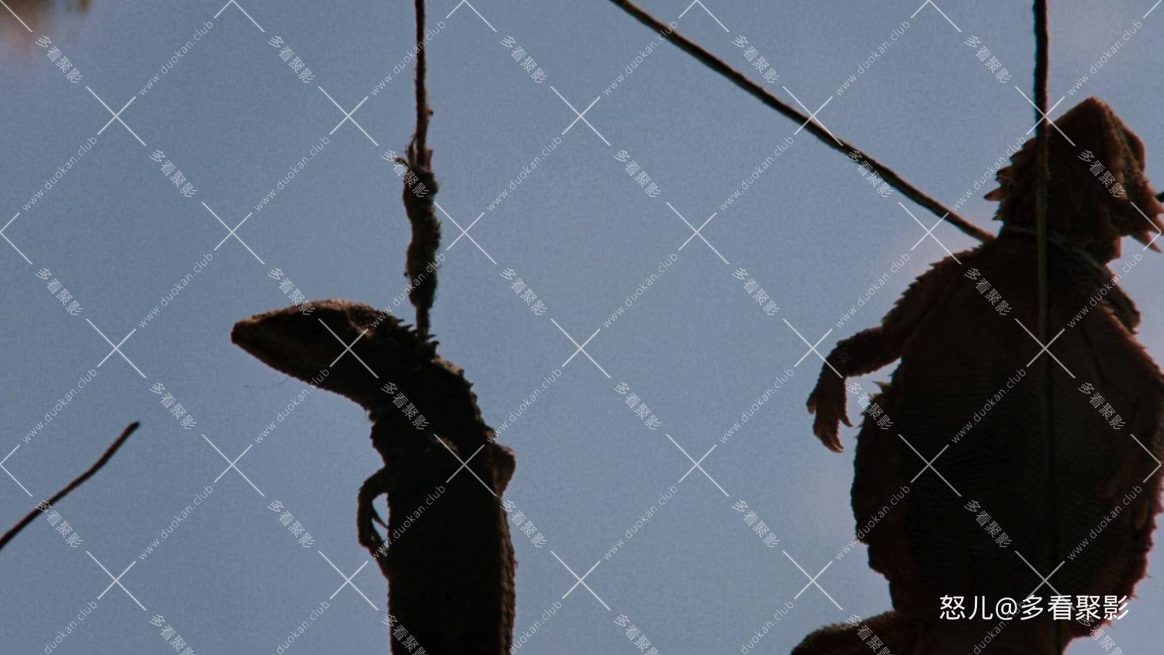 德州电锯杀人狂3.Leatherface.Texas.Chainsaw.Massacre.III.1990.1080p.BluRay.x265-R.jpg