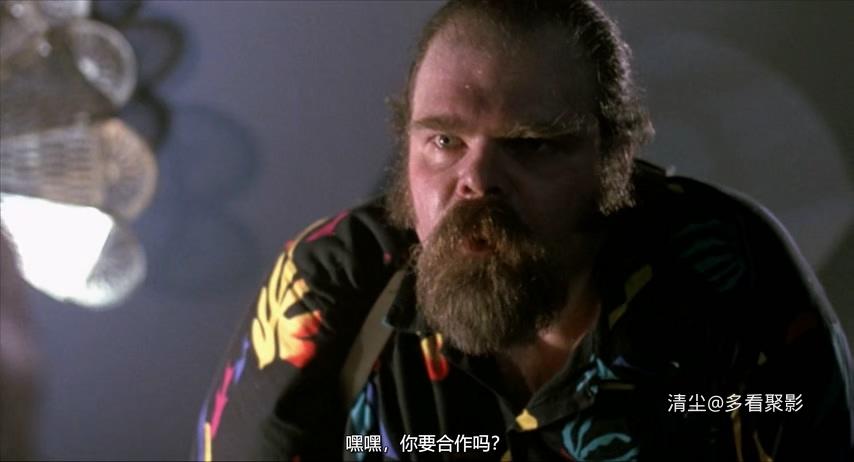 1991 城市战将2 Snake Eater II The Drug Buster.mkv_20260522_112236.687.jpg