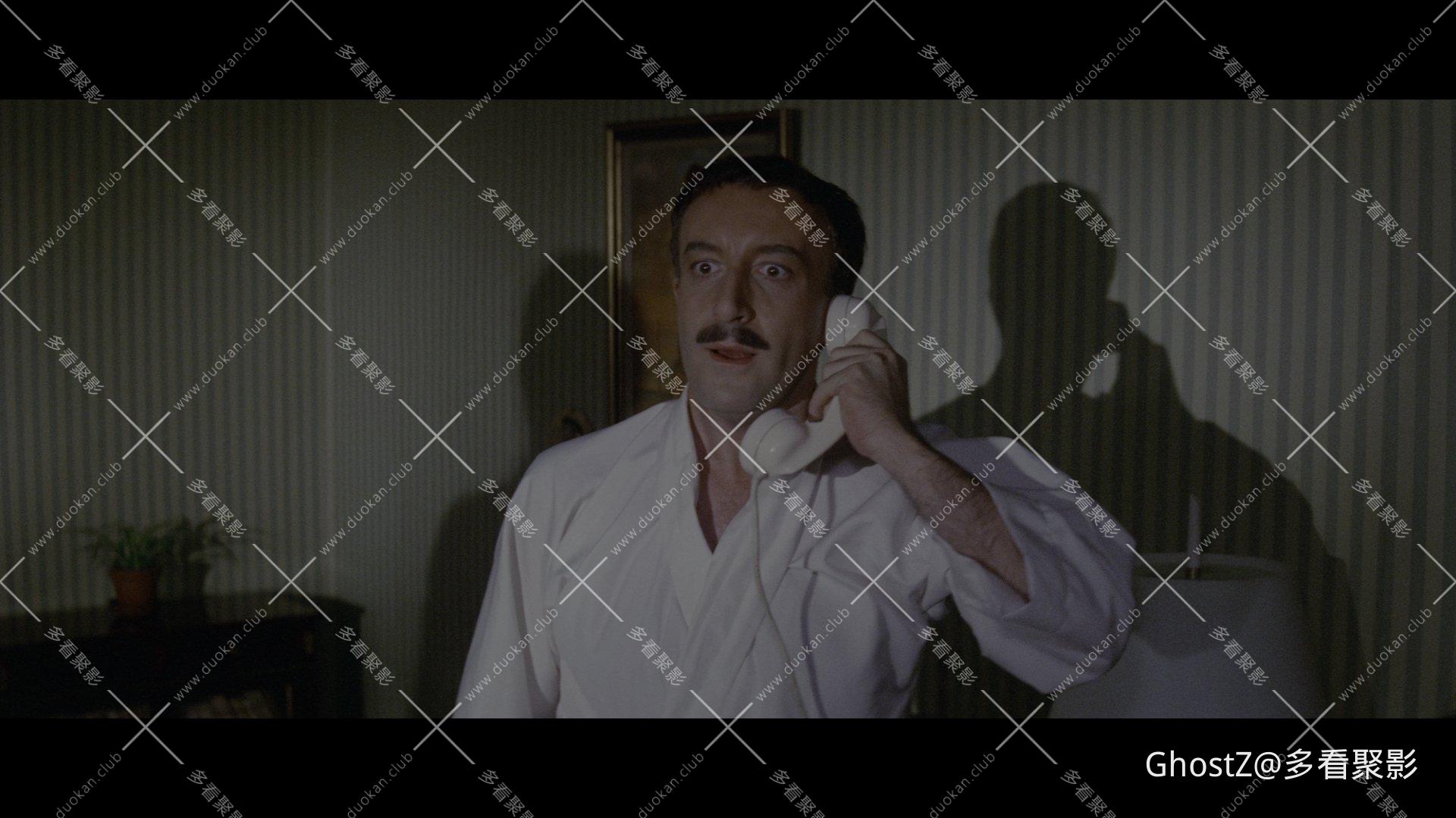 粉红豹系列：黑夜怪枪 (1964) [tmdb=1594].mkv_002253.497.png