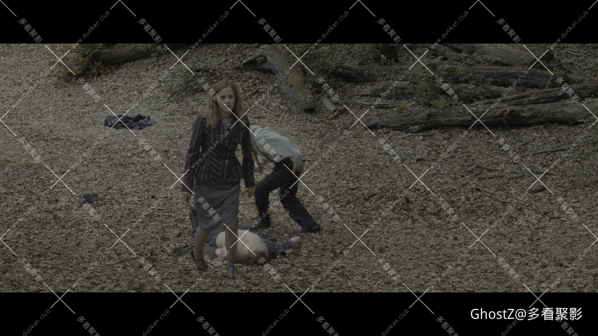 哈利·波特与死亡圣器（上） (2010) [tmdb=12444].mkv_010511.366.png