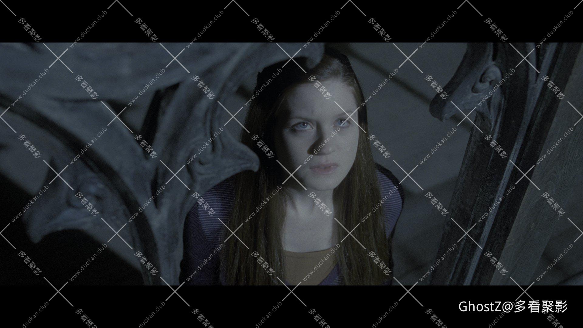 哈利·波特与死亡圣器（下） (2011) [tmdb=12445].mkv_005247.831.png