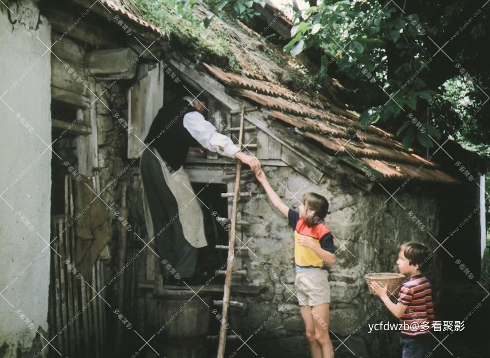 p2546950546.jpg