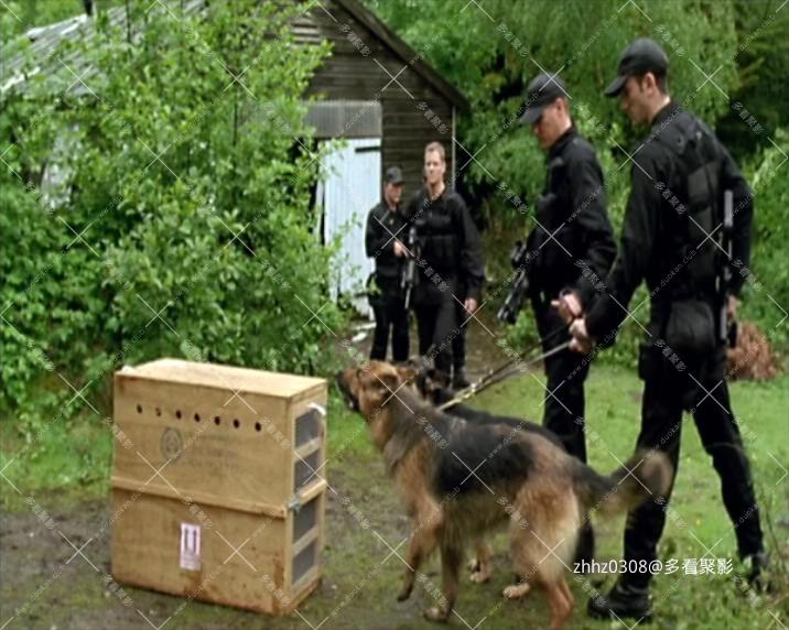 第1季.mkv_20260530_144230754.jpg
